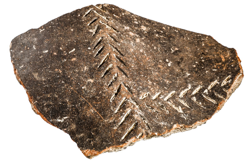 Fragment de ceràmica informe i carenada amb dues franges, horitzontal i vertical, de decoració incisa d’espiga, adscrit al període calcolític. Procedeix del jaciment de l’Institut de Batxillerat Antoni Pous. MIT 10475.