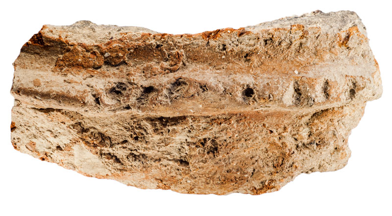 Fragment de ceràmica informe d’un recipient d’emmagatzematge. Presenta un acabat groller i cordons aplicats horitzontalment amb decoracions digitals. Està adscrit al període calcolític i procedeix del jaciment de l’Institut de Batxillerat Antoni Pous. MIT 10490. 