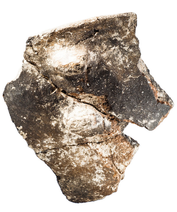 Fragment de vora ceràmica d’un recipient amb arrencament de nansa, adscrit al període calcolític. Procedeix del jaciment de l’Institut de Batxillerat Antoni Pous. MIT 10499.