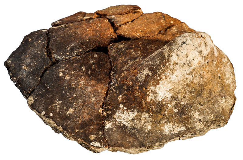 Fragments de ceràmica remuntats corresponents a un vas de forma globular amb presència de nansa de tipus llengüeta i d’un mugró aplicat. S'adscriu al període calcolític i procedeix del jaciment de l’Institut de Batxillerat Antoni Pous. MIT 10509.