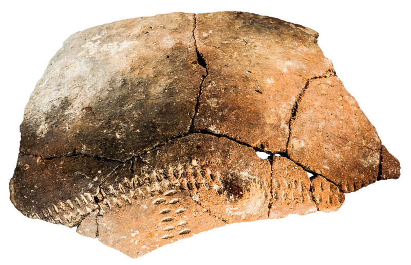 Fragments de ceràmica remuntats corresponents a un vas de forma hemisfèrica amb perfil en “S”. Presenta dues franges, horitzontal i vertical, de decoració incisa i un mugró aplicat. S'adscriu al període calcolític i procedeix del jaciment de l’Institut de Batxillerat Antoni Pous. MIT 10514.