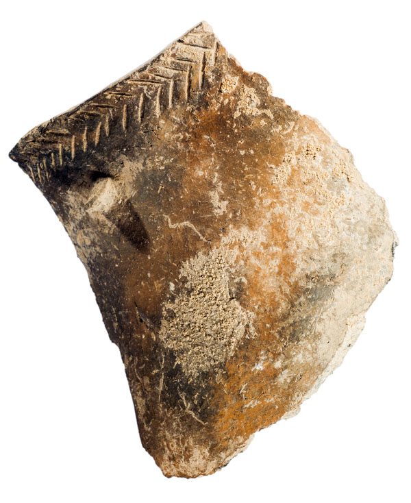 Fragment de vora ceràmica plana i decorada, per la part exterior, amb una franja horitzontal d’incisions dibuixant una espiga. Presenta un mugró aplicat just sota la decoració. S'adscriu al període calcolític i procedeix del jaciment de l’Institut de Batxillerat Antoni Pous. MIT 10515.