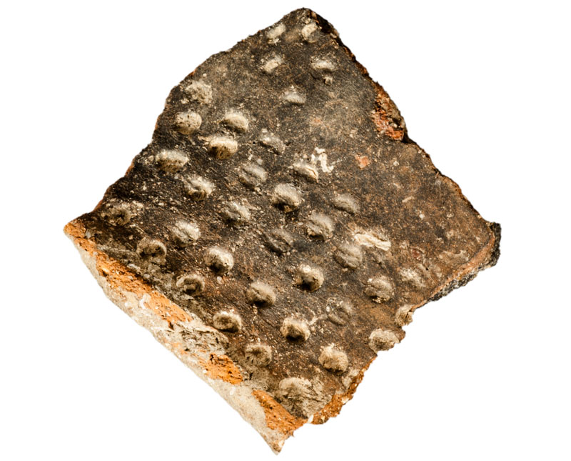 Fragment de vora ceràmica amb decoració impresa puntejada, adscrit al període calcolític. Procedent del jaciment de l’Institut de Batxillerat Antoni Pous. MIT 10517.