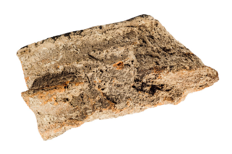 Fragment de vora ceràmica plana, i amb cordó aplicat; adscrit al període calcolític. Procedeix del jaciment de l’Institut de Batxillerat Antoni Pous. MIT 10553.