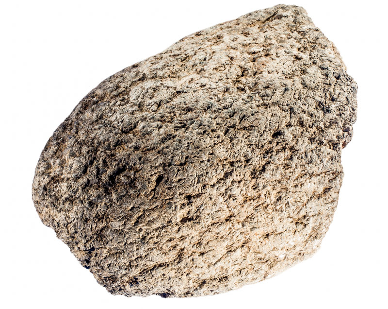 Fragment de gran còdol de riu, possiblement utilitzat com a mà de molí, del qual es pot adscriure l'ús al període calcolític. Procedeix del jaciment de l’Institut de Batxillerat Antoni Pous. MIT 10645. 