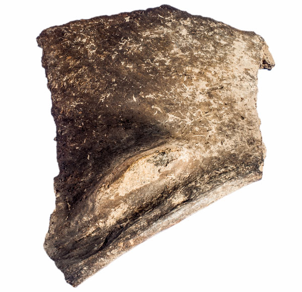 Fragment de ceràmica d’un gran recipient amb un acabat polit i nansa de tipus llengüeta. S'adscriu al període calcolític. Procedeix del jaciment de l’Institut de Batxillerat Antoni Pous. MIT 10694.