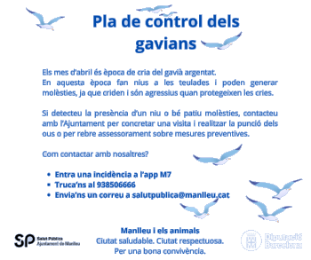 Pla de control de gavians 2025
