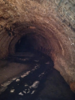 WhatsApp Image 2021-01-14 at 14.08.12 (1).jpeg