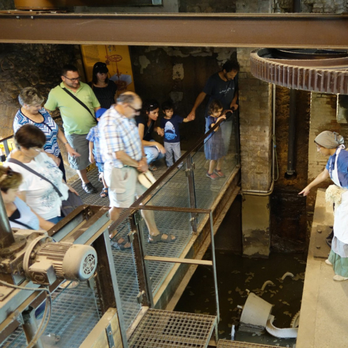 1600-1753946892museudelter-visitateatralitzada-2.jpg