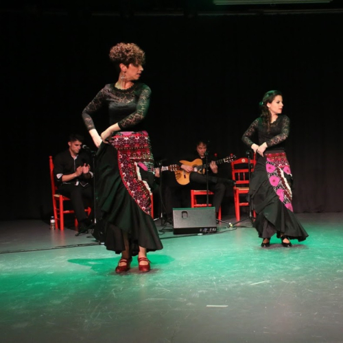 1600-1779789026flamenca.jpg