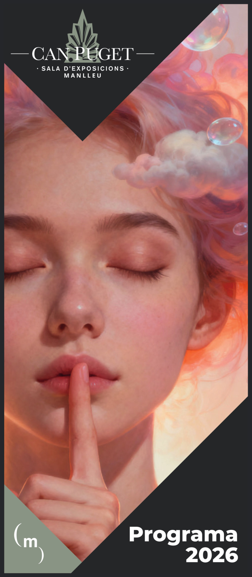 portada diptic web.jpg