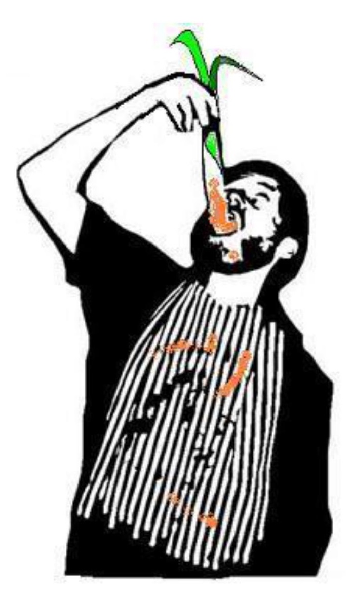 Calçotada AV Gràcia 13.03