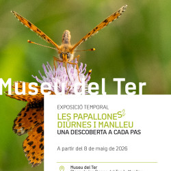 elter-1034.jpg