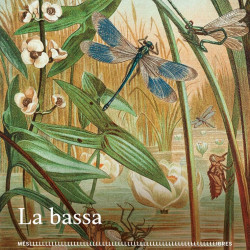 Llibre la bassa