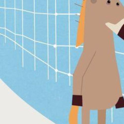 Zibila_i_el_poder_de_les_ratlles_cinexic