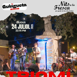 Nits a la fresca. Concert de Triomí Jazz 4tet.jpg