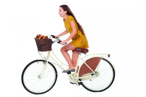 Carril bici