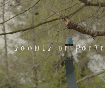 8M Somnis de poetesses