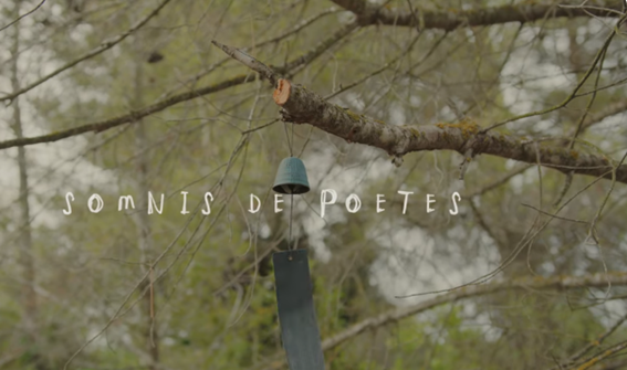 8M Somnis de poetesses