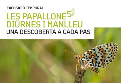 web_EXPO_papallones.jpg
