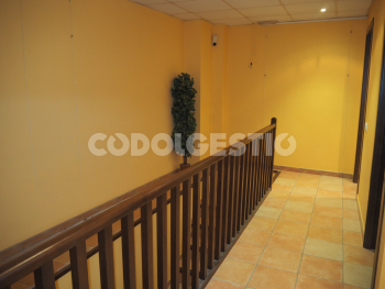 baixa cortada 23 foto 5.jpg