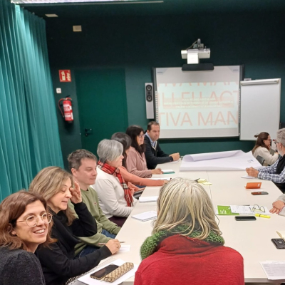 reunió xarxa metall3v.jpg