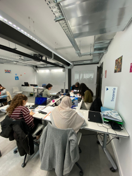 sefed243.jpg