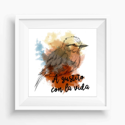 ilustracion-digital-dibujo-colibri-barcelona-laiamarita.jpg